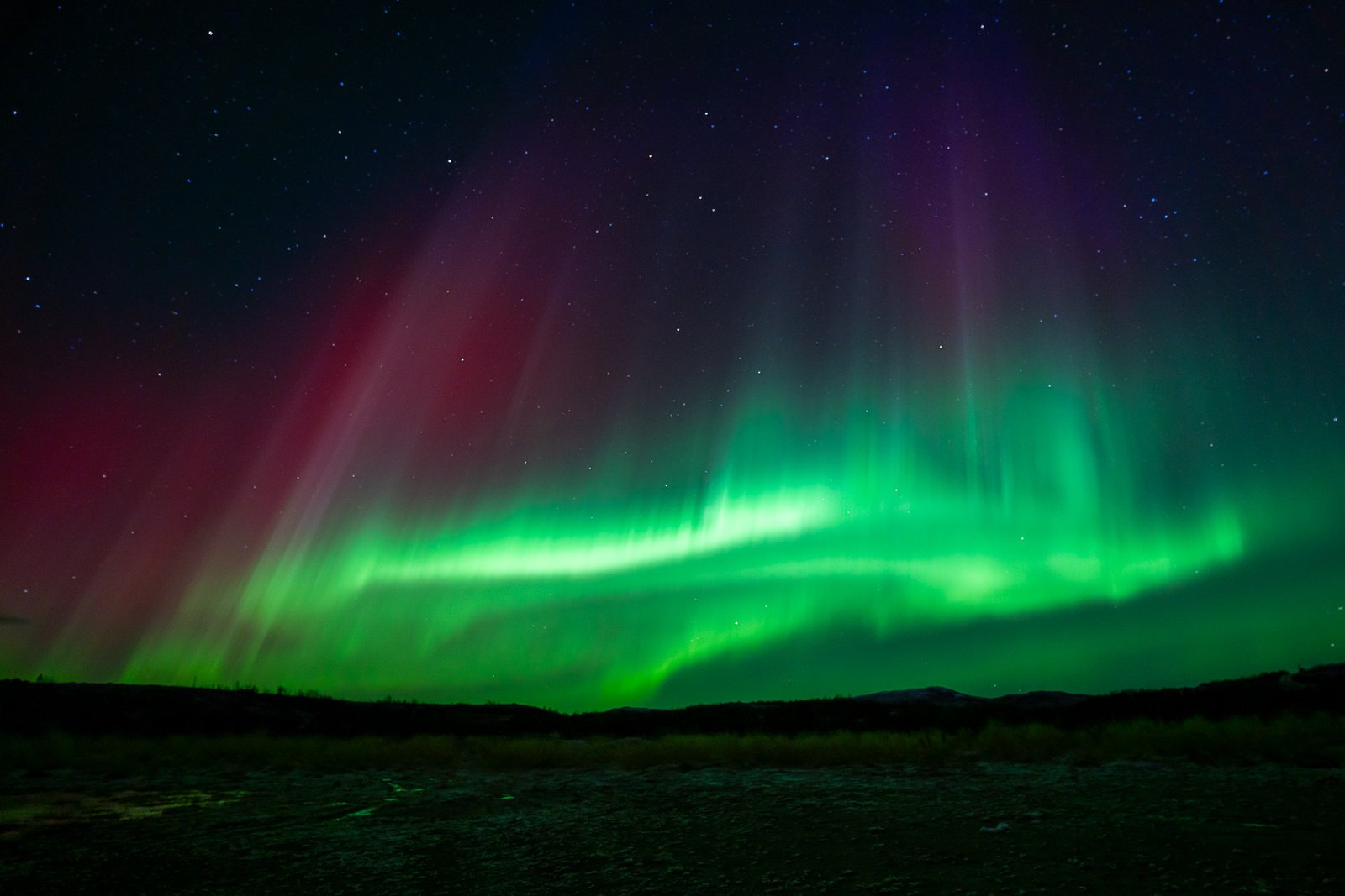 Green Northern Lights over a dark forest near Alta