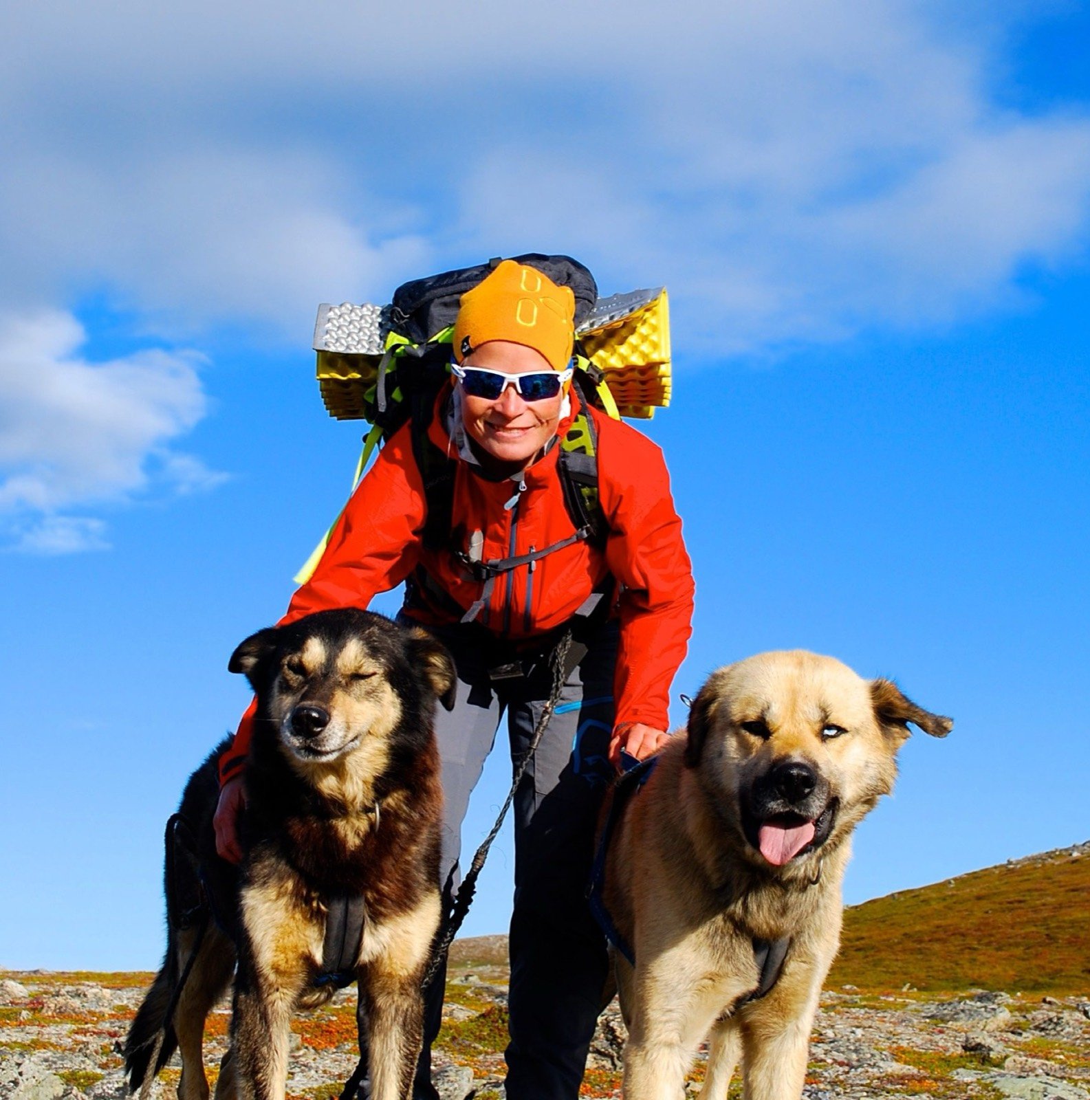 A smiling hiker with two dogs carrying packs